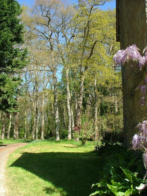 Gites De Launay Guibert Miniac-Morvan Buitenkant foto