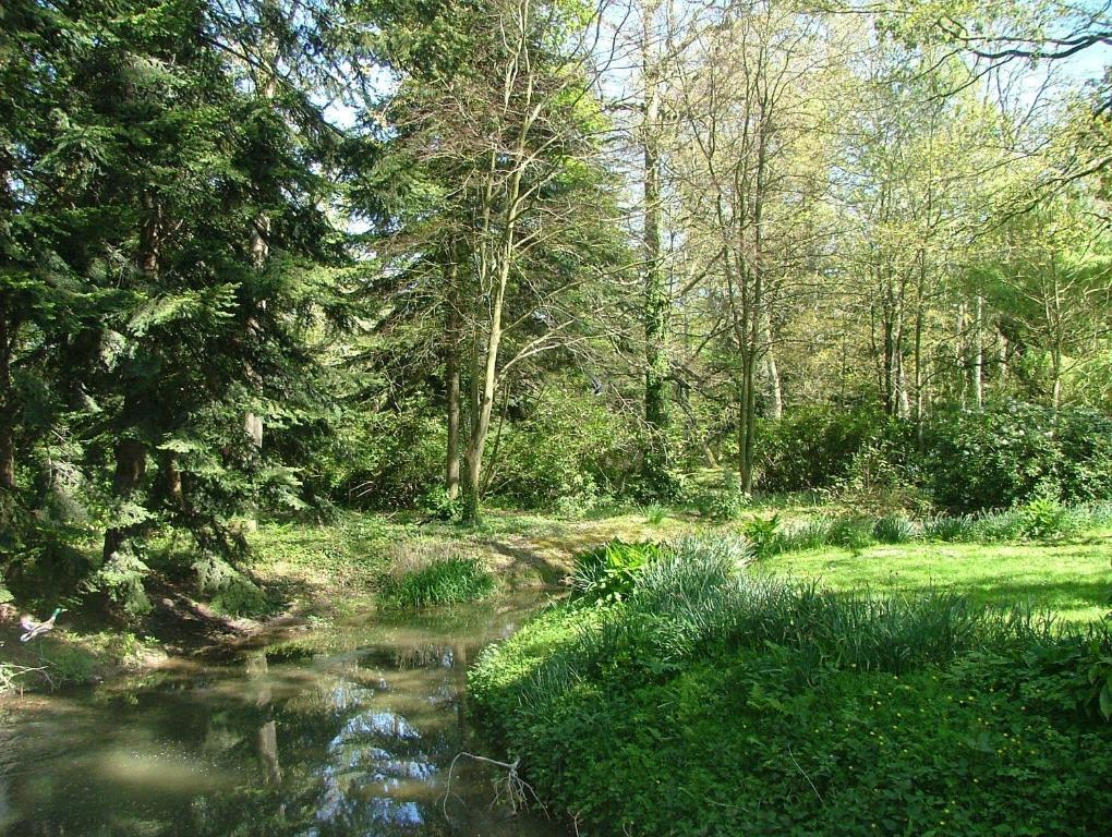 Gites De Launay Guibert Miniac-Morvan Kamer foto